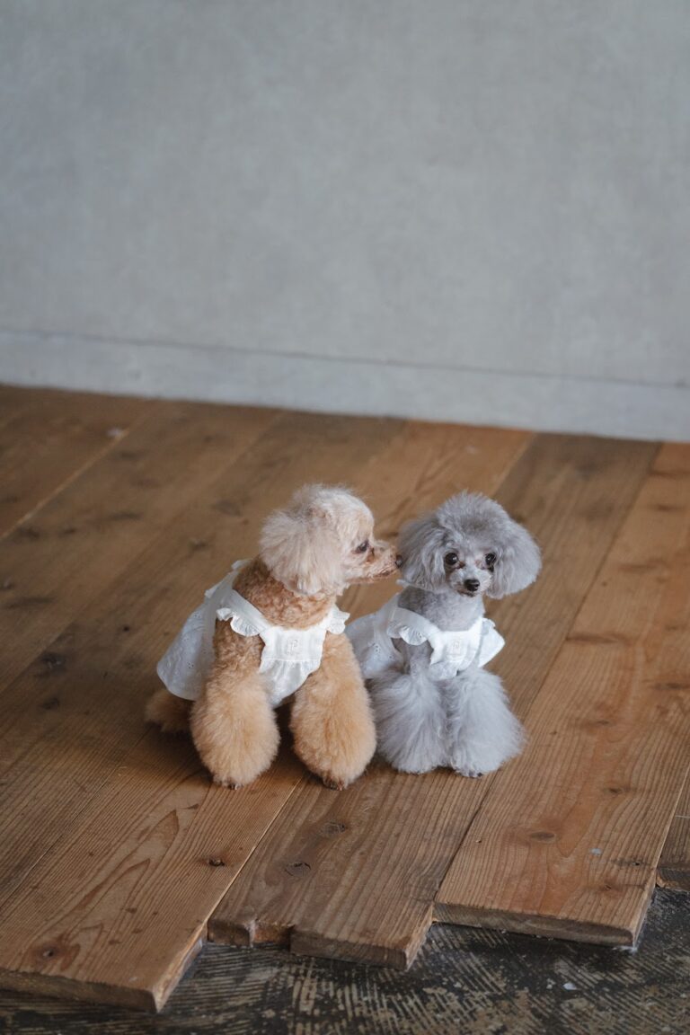 ドッグサロン・ロイス