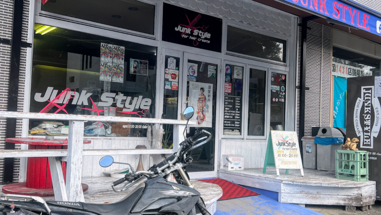 Junk-Style for hair create