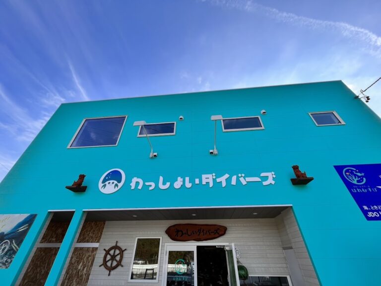 わっしょいダイバーズ