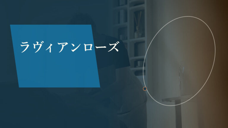 ラヴィアンローズ かがみはら店｜各務原市のエステサロン